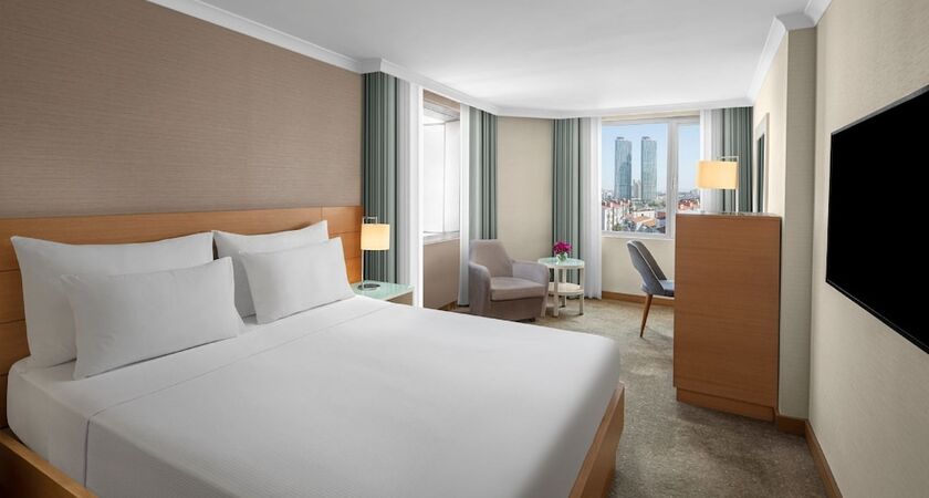 Dedeman Istanbul