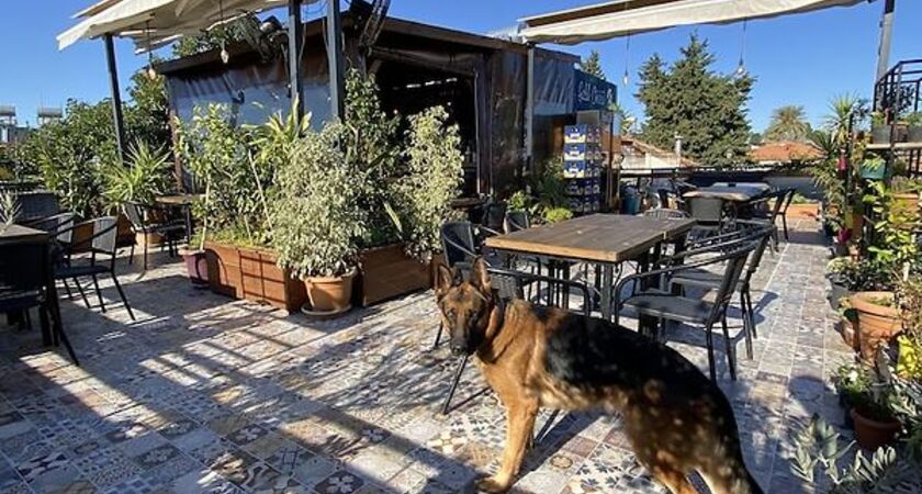 Gold Coast Hostel