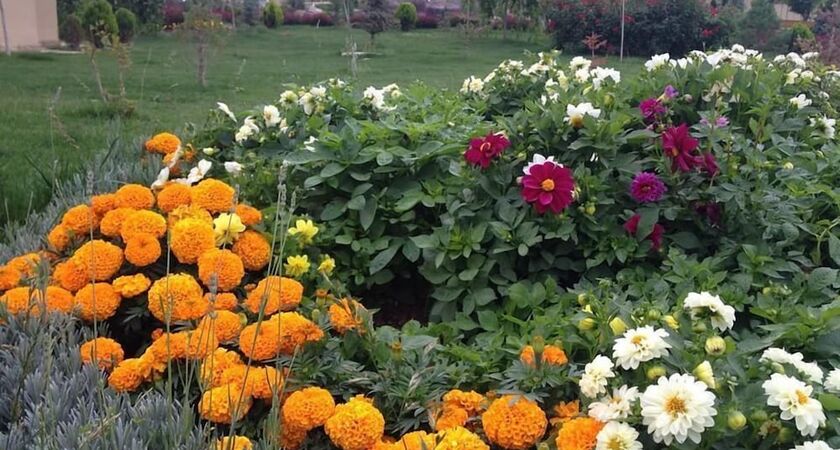 Grand Ozgul Thermal Holiday Village