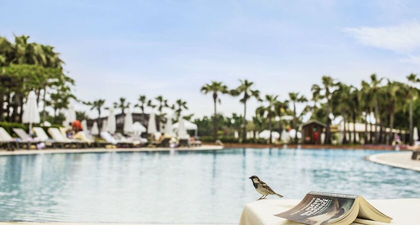 Lara Barut Collection - All Inclusive