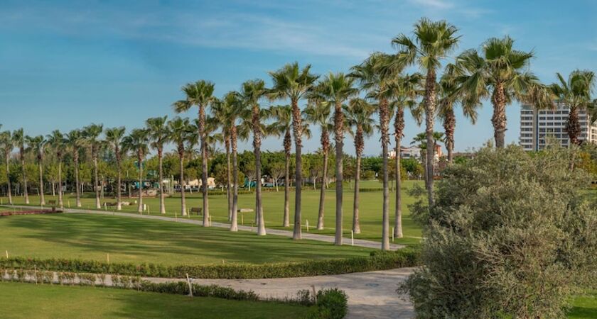 Lara Barut Collection - All Inclusive