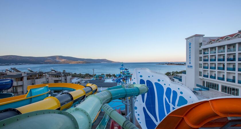 Maxerıa Blue Dıdyma
