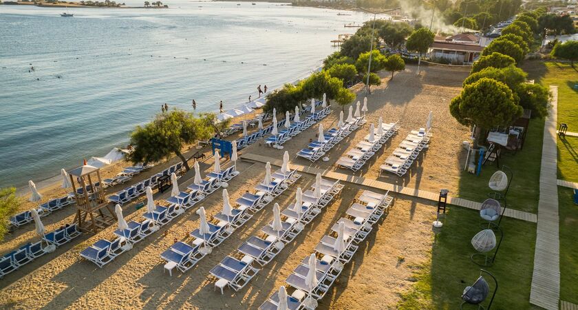 Maxerıa Blue Dıdyma