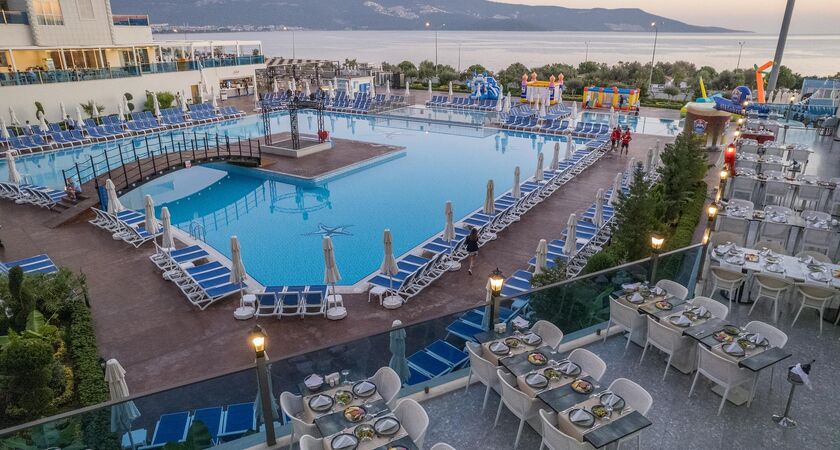 Maxerıa Blue Dıdyma