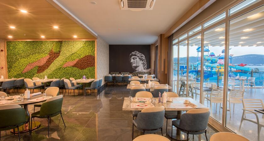 Maxerıa Blue Dıdyma