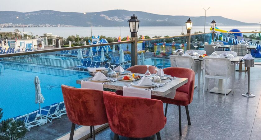 Maxerıa Blue Dıdyma