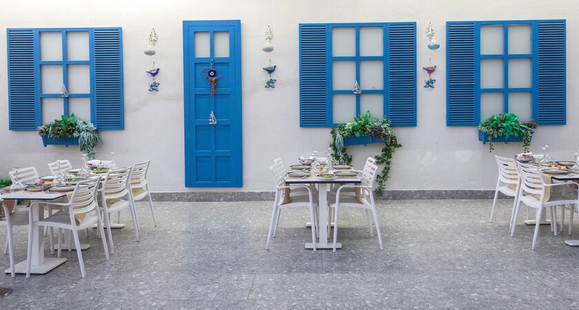 Maxerıa Blue Dıdyma