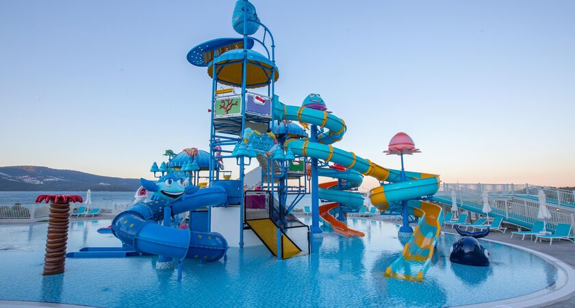 Maxerıa Blue Dıdyma