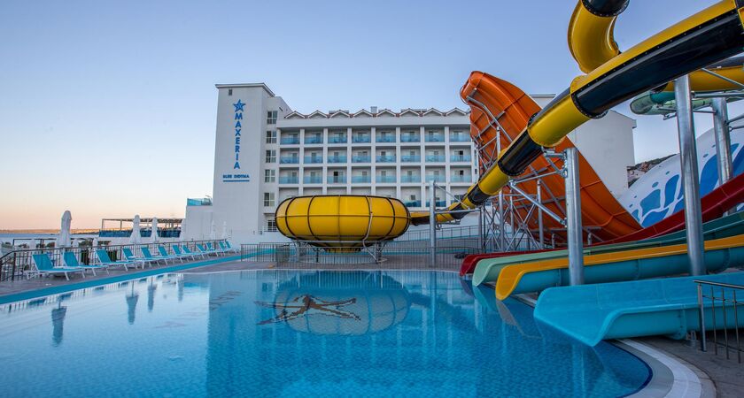Maxerıa Blue Dıdyma