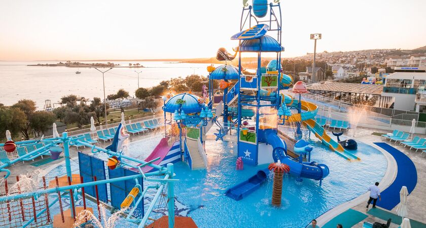 Maxerıa Blue Dıdyma
