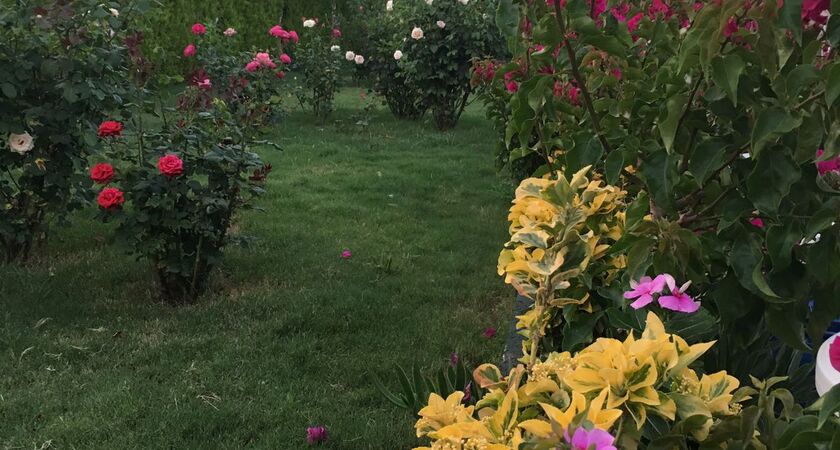 Anadolu Hotels Bodrum