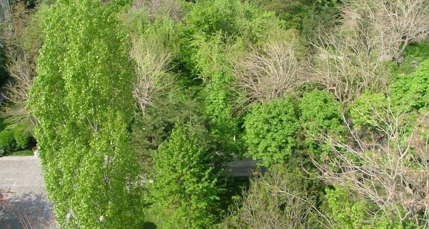 Doga Residence