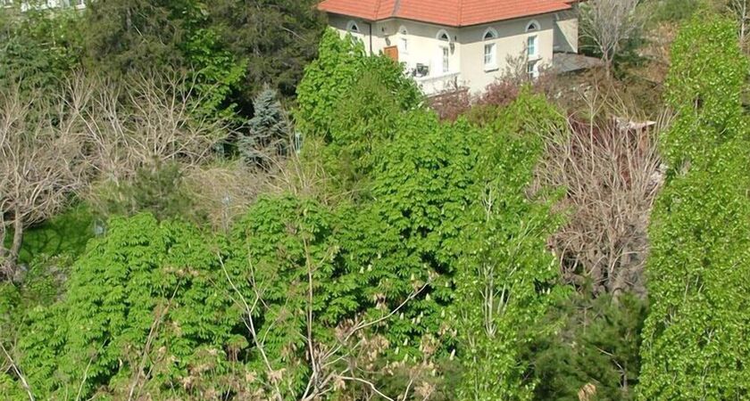 Doga Residence