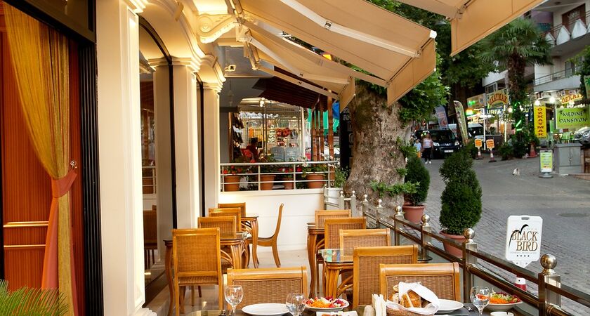 Black Bird Thermal & Spa Yalova Hotel