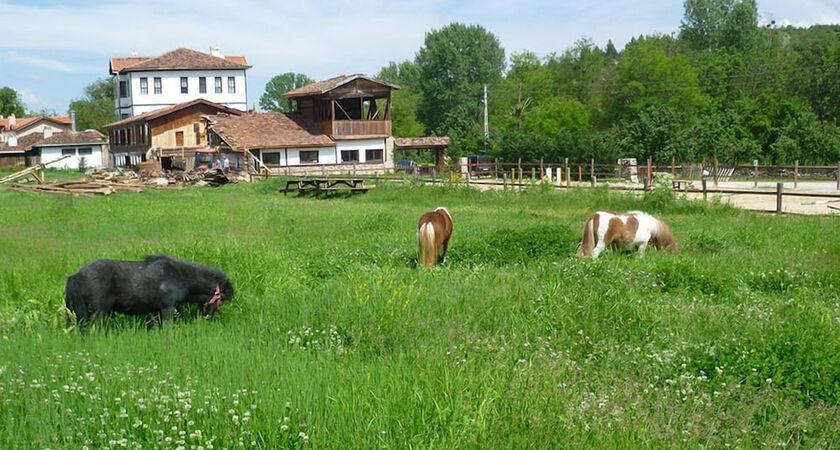 Hotel Sadibey Ciftligi - Special Class