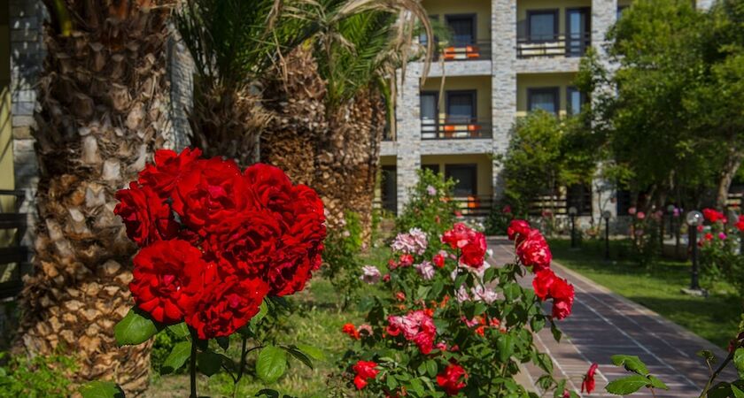 Iris Otel