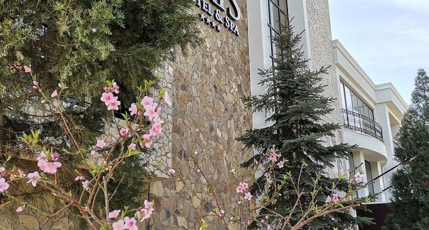 Iris Otel