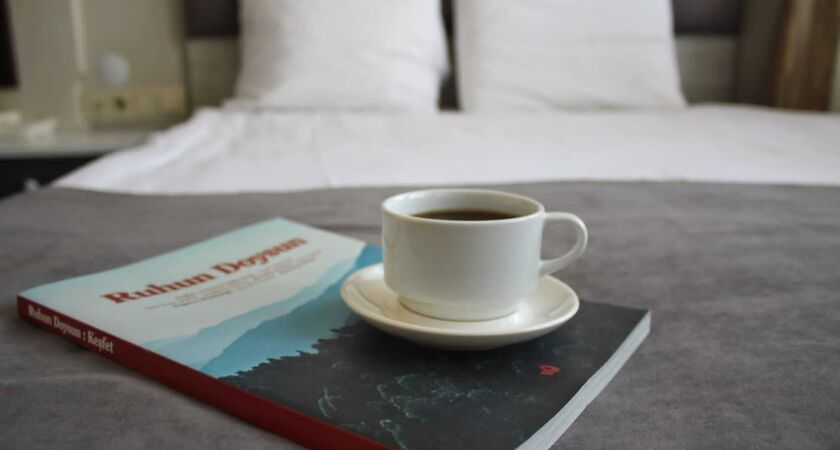 Hotel Temizay