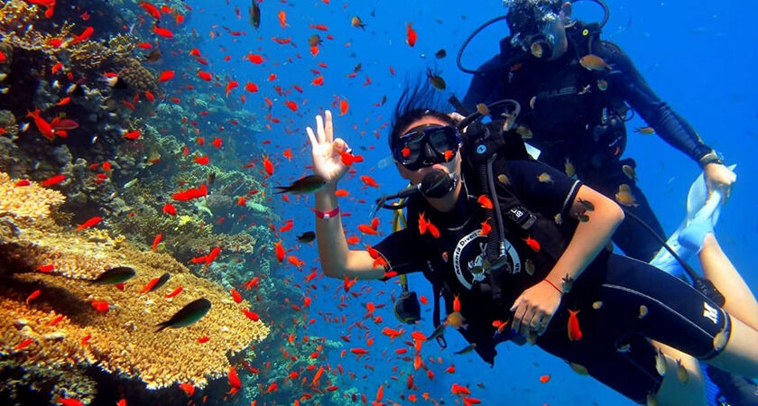 Mısır Sharm el Sheikh Turu - 3 Gece / 4 Gün